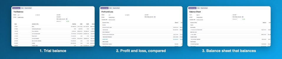 The trial balance, the profit and loss compared with the previous period, and the balance sheet.