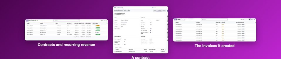The contracts, one contract and the invoices it created.
