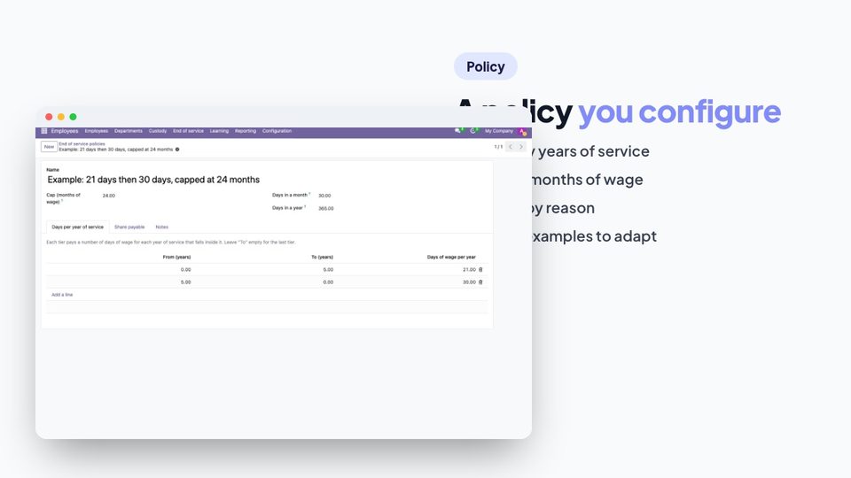 A policy with its tiers, cap and shares