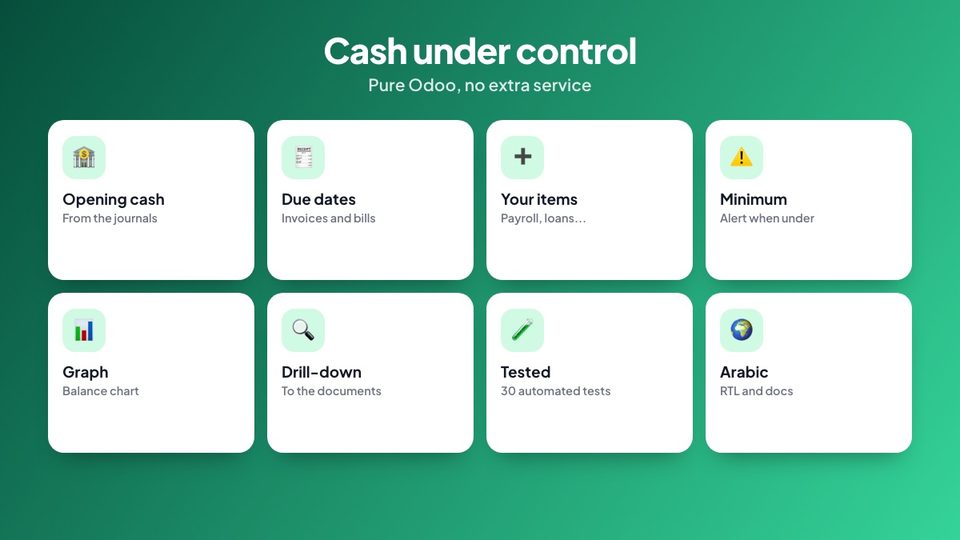 Cash flow forecast features