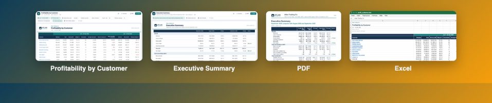 The add-on in four views: Profitability by Customer and the Executive Summary on screen, the Executive Summary as a PDF page and Profitability by Customer in Ex
