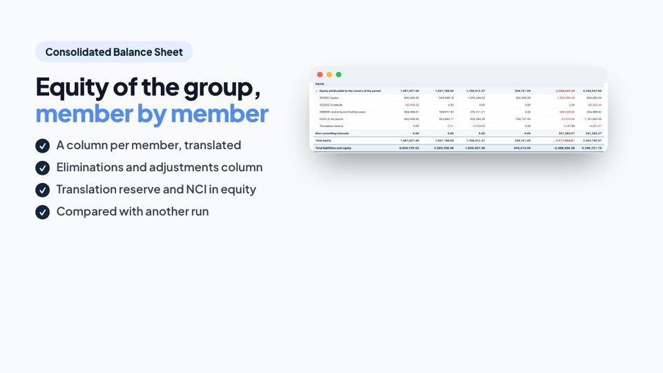 Equity of the group, member by member