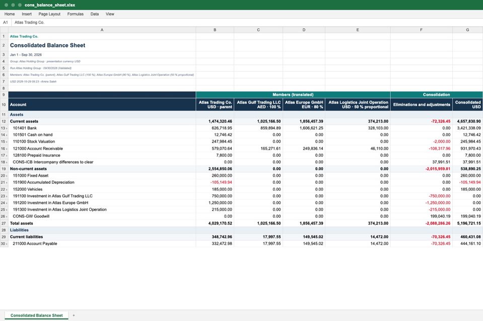 The Consolidated Balance Sheet as an Excel sheet: the header, the members' columns, the eliminations and the consolidated column.