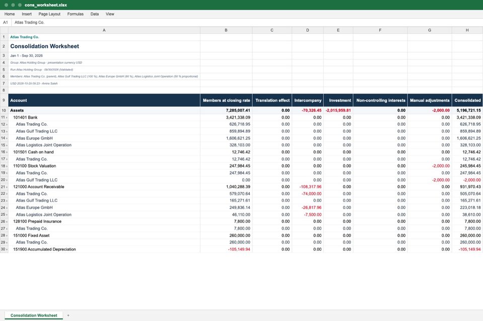 The Consolidation Worksheet as an Excel sheet, with the members under each account.